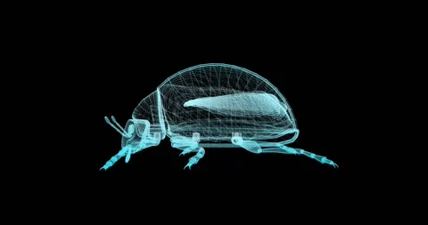 A seamless animation shows the rotation of a ladybug model in the style of a Stock Footage 328652667