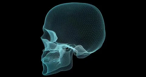 A seamless animation shows the rotation of a three-dimensional model of a hu Stock Footage 328652418
