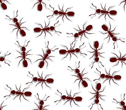 Seamless Ants Stock Illustration