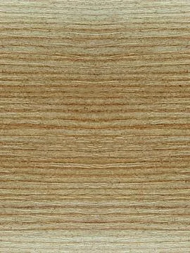 Seamless ash texture. Light ash wood. Seamless wood Stock Photos