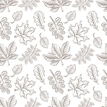 Seamless autumn leaf pattern line art style on white background. Seasonal Stock Illustration