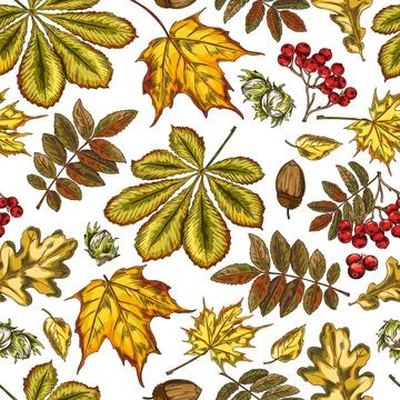 Seamless autumn pattern with fall leaves, vector illustration. Stock Illustration