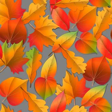 Seamless Autumn pattern orange, yellow, brown red fall forest leaves . Stock Illustration
