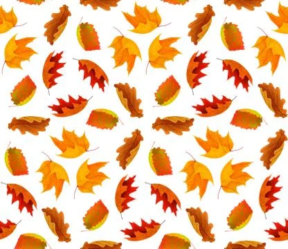 Seamless autumn pattern Stock Photos