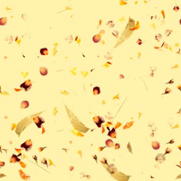 Seamless autumn pattern. A repeat print with dry leaves and petals on a faded Stock Photos