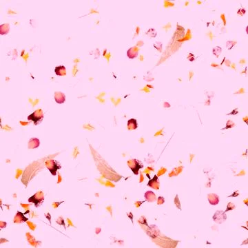 Seamless autumn pattern. A repeat print with dry leaves and petals on a pink Stock Photos