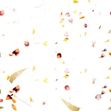 Seamless autumn pattern. A repeat print with scattered dry leaves and petals on Foto stock