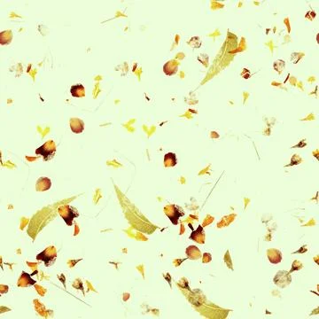 Seamless autumn pattern. A repeat print with dry leaves and petals on a light Fotos de archivo