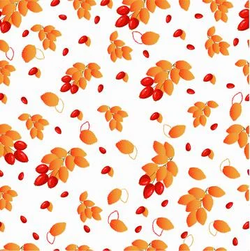 Seamless autumn pattern with rosehip branch Stock Illustration