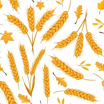 Seamless autumn pattern of wheat ears and yellow leaves white background. Stock Illustration