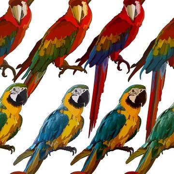 Seamless background with Ara parrots Stock Illustration