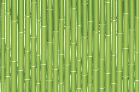 Seamless Background, Bamboo Plants Stock Illustration