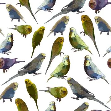 Seamless background with budgerigars Illustrazione stock