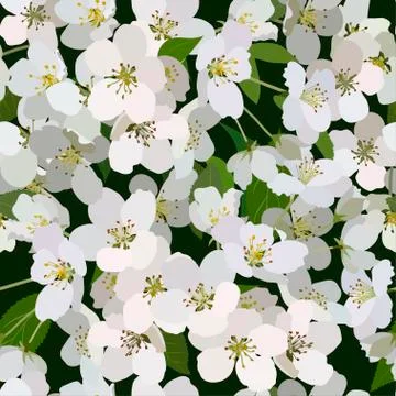 Seamless background from bunch of blossoming apple tree flowers Stock Illustration