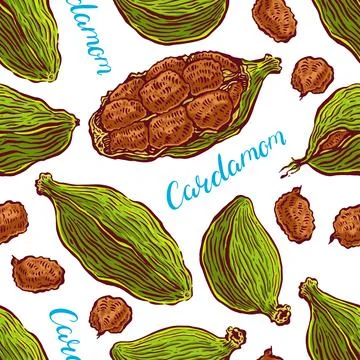 Seamless background of cardamom Stock Illustration