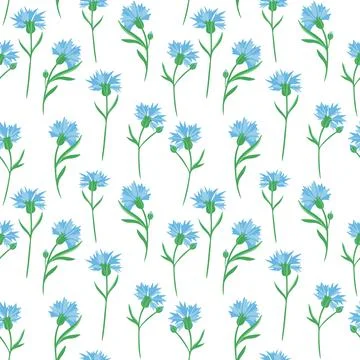 Seamless background with cornflowers. Vector. Delicate solid floral pattern.Blue 스톡 일러스트