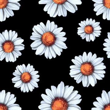 Seamless background with daisy flowers Stock Illustration