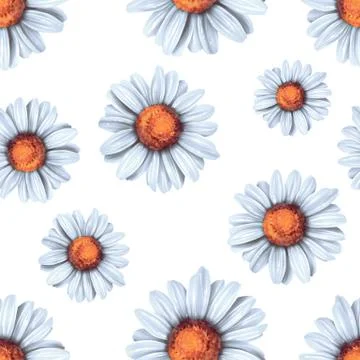 Seamless background with daisy flowers Stock-Illustration
