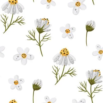 Seamless background with daisy flowers. Stock Illustration