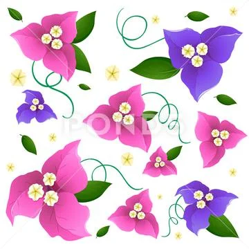 Seamless Background Design With Colorful Flowers In Pink And Purple