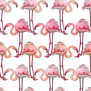 Seamless background with flamingos Stock Illustration