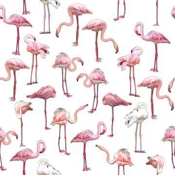 Seamless background with flamingos Stock Illustration