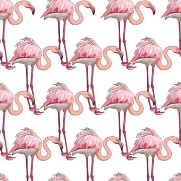 Seamless background with flamingos Stock Illustration