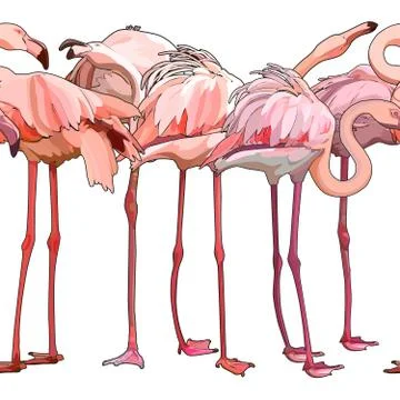 Seamless background with flamingos Stock Illustration