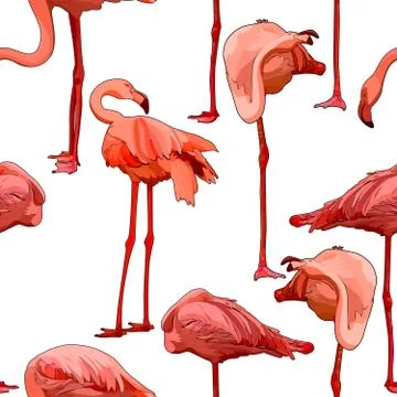 Seamless background with flamingos Illustrazione stock