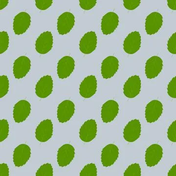 Seamless background with fresh green mint leaves 스톡 일러스트