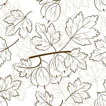 Seamless Background with Gooseberry Stock Illustration