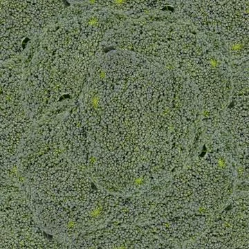 Seamless background, green broccoli texture Stock Photos
