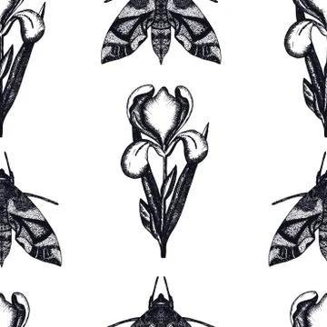 Seamless background with hand drawn sketched iris flower Stock Illustration