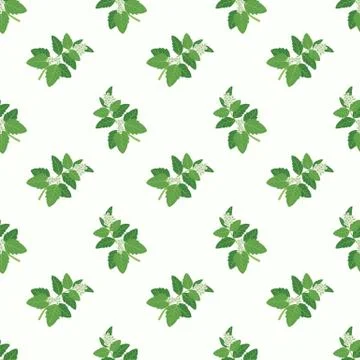Seamless background image colorful vegetable food ingredient green basil Stock Illustration