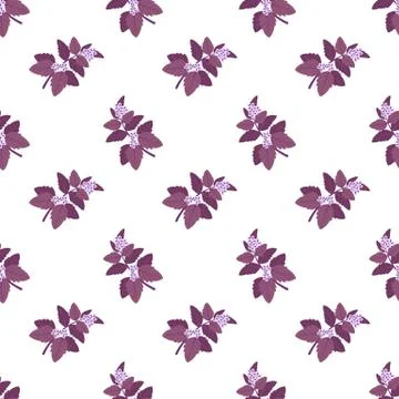 Seamless background image colorful vegetable food ingredient red basil Stock Illustration