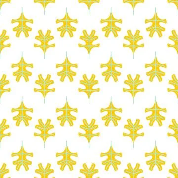 Seamless background with organic nature elements. Elegant minimal-style flo.. Illustrazione stock