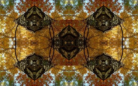 Seamless background pattern. Birch bark. Stock Illustration