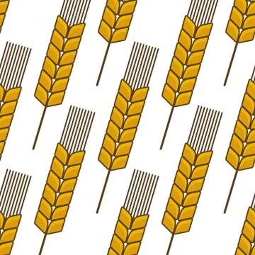 Seamless background pattern of an ear of wheat 库存插图
