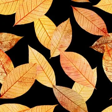 Seamless background pattern, golden skeleton leaves on black Stock Photos