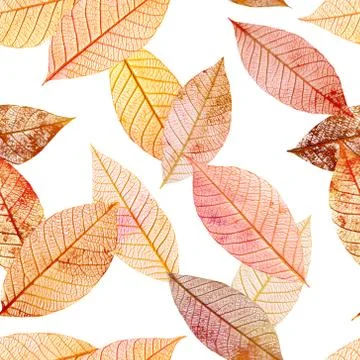 Seamless background pattern of golden tinted skeleton leaves Fotos de archivo