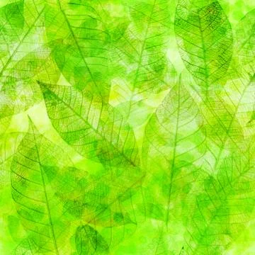 Seamless background pattern of green skeleton leaves Stock Illustration
