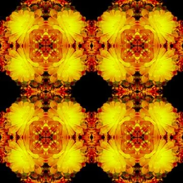 Seamless background pattern. Marigold flowers. Stock Illustration