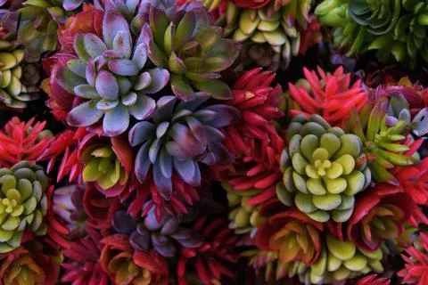 Seamless background pattern. plastic plants and Flower, Floral vintage car... Stock Photos