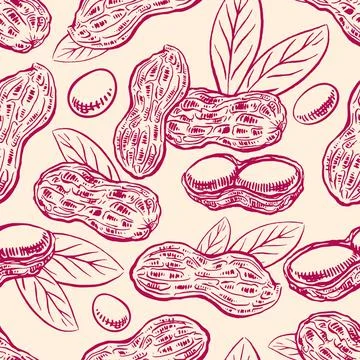 Seamless background with peanuts - 2 Stockillustratie