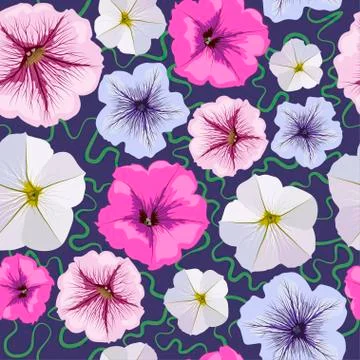 Seamless background from petunia flowers. Stock Illustration