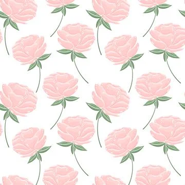 Seamless background with pink peonies. Large garden flowers in a chaotic manner 库存插图