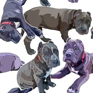 Seamless background with pitbulls Stock Illustration