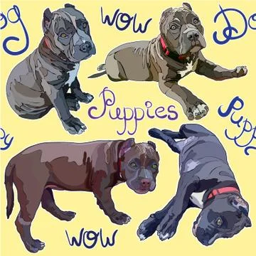 Seamless background with pitbulls Stock Illustration