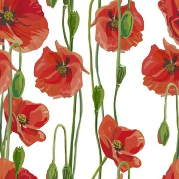 Seamless background with poppies Stock Illustration