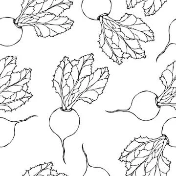 Seamless Background of Ripe Beets. Endless Pattern of Beetroot with Top Leave Stockillustratie
